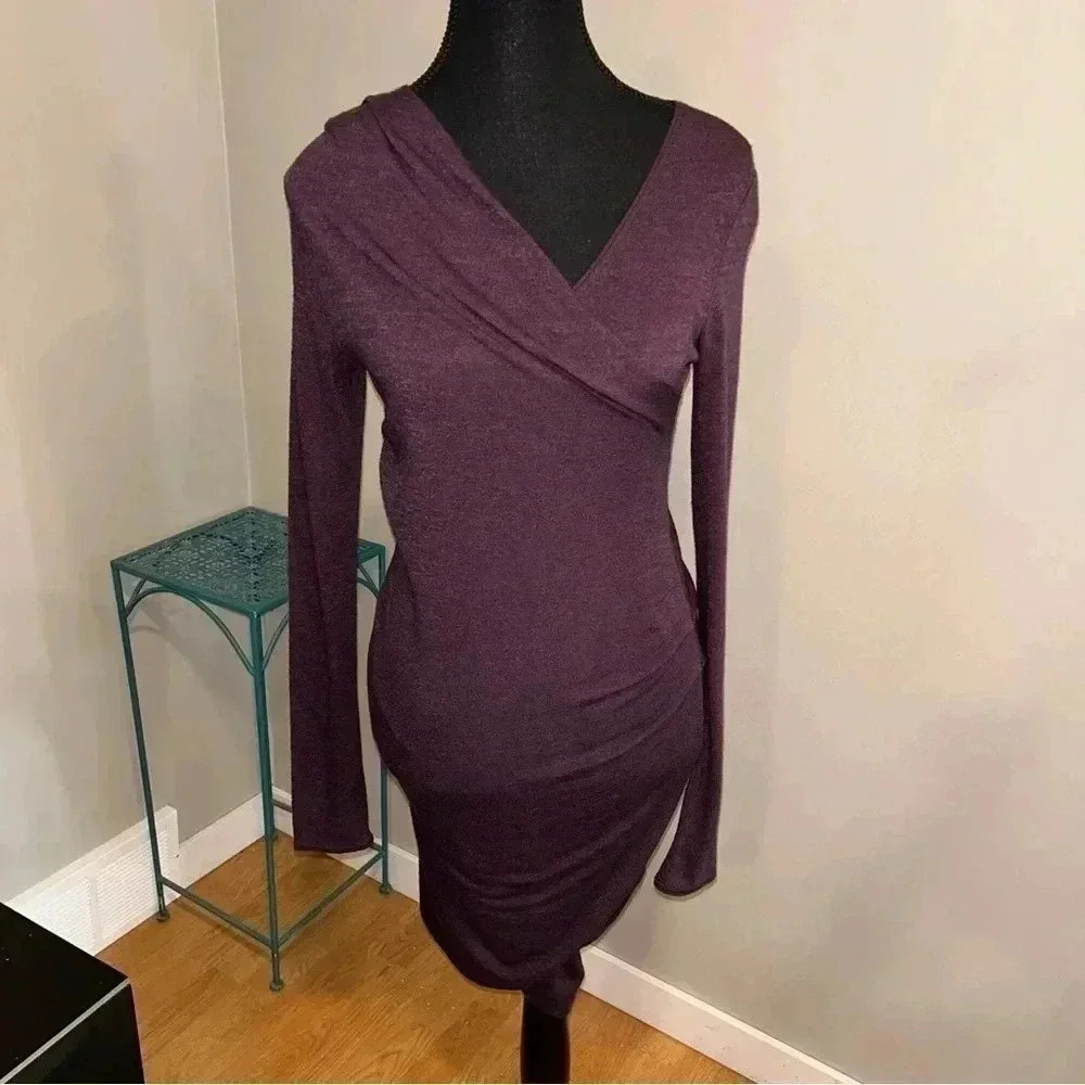 Aritzia - Wilfred Free Dress